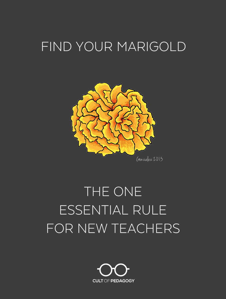 Drawing of a marigold flower with text that reads “Find Your Marigold: The One Essential Rule for New Teachers”