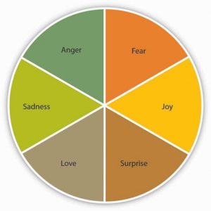 Pie chart of emotions that impart work. equally divided.
