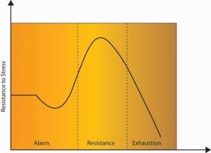 In Selye’s GAS model, stress affects an individual in three steps: alarm, resistance, and exhaustion.