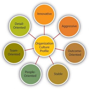 Org Profile center circle with 7 out circles attached: Innovative, Aggressive, Outcome-Oriented, Stable, People-Oriented, Team-Oriented, Detail-Oriented
