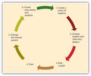 Continuous Loop 1. Create a sense of urgency, 2/ Change leaders and other key players, 3. Role model, 4. Train, 5. Change the reward system, 6. Create new stories and symbols