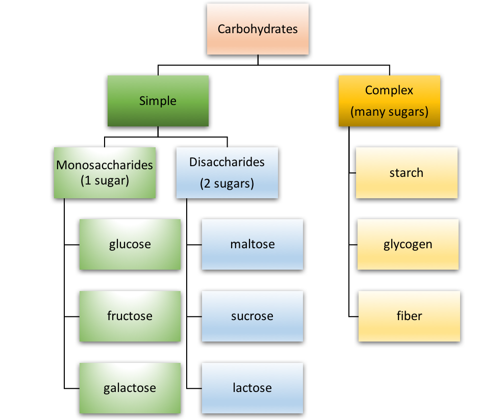 Monosaccharides (Glucose & Fructose) - Structure & Examples with Videos