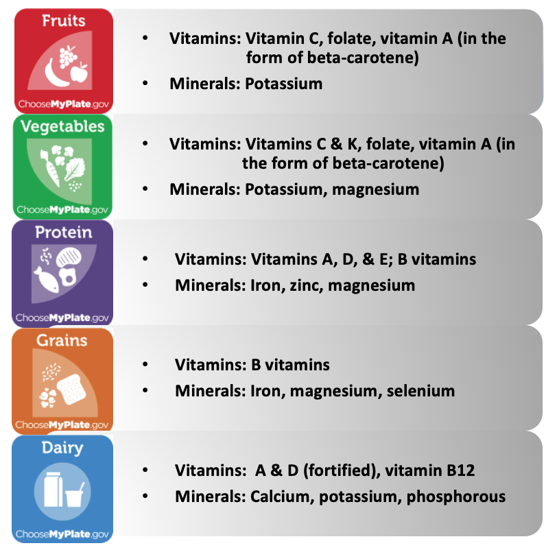 A chart depicts each food group of MyPlate and lists which vitamins and minerals are commonly included in that food group. Fruit: Vitamins include vitamin C, folate, vitamin A (in the form of beta-carotene). Minerals include potassium. Vegetables: Vitamins include vitamins C and K, folate, vitamin A (in the form of beta-carotene). Minerals include potassium and magnesium. Protein: Vitamins include vitamins A, D, and E and the B vitamins. Minerals include iron, zinc, and magnesium. Grains: Vitamins include B vitamins. Minerals include iron, magnesium, and selenium. Dairy: Vitamins A and D (fortified) and vitamin B12. Minerals include calcium, potassium, and phosphorous.