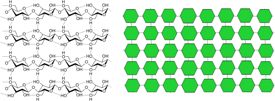 On the left, the chemical structure of cellulose, showing a total of 16 glucose units arranged in rows of 4 each, with hydrogen bonds linking them vertically, as in a grid. On the right, a simplified schematic of the chemical structure of cellulose, showing multiple green hexagons, each representing a glucose molecule, arranged in rows with lines linking them both vertically and horizontally, as in a grid