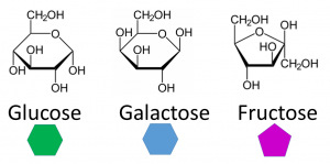 structure of glucose fructose and sucrose