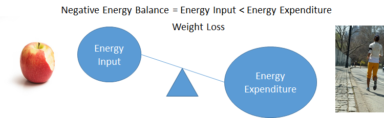 A balance scale showing larger energy expenditure (with someone running) and a smaller energy input (with an apple)