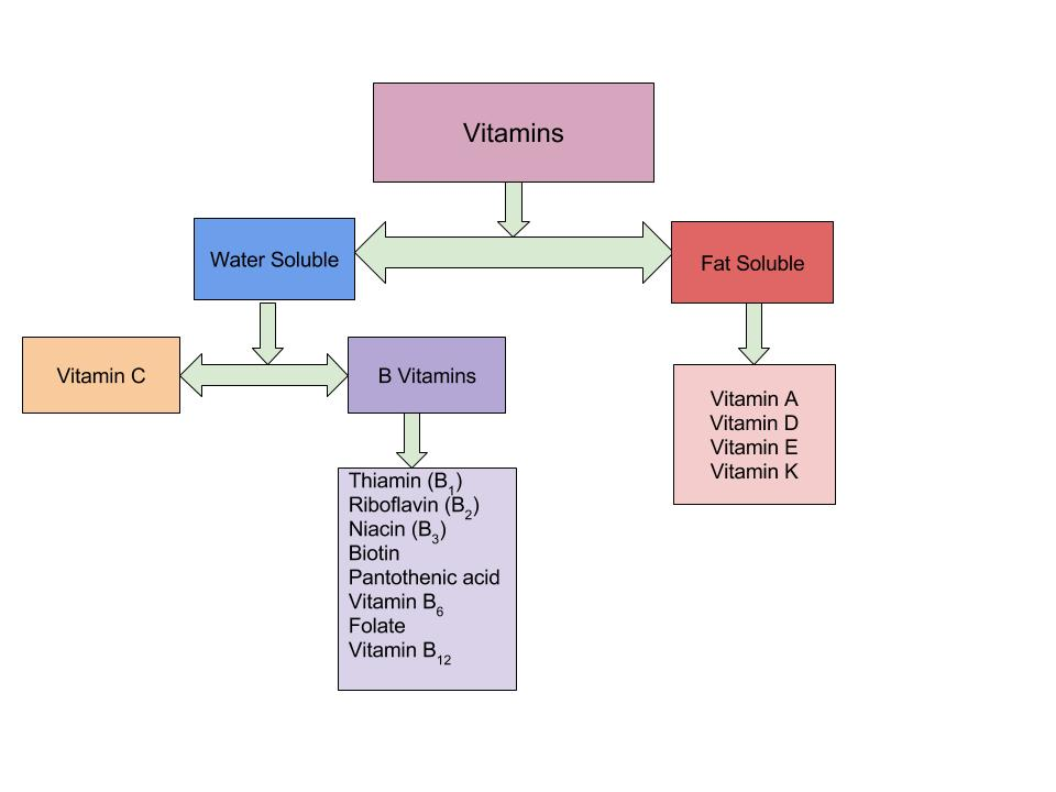 A flow chart depicting how vitamins are divided into the two categories of water-soluble and fat-soluble vitamins. Each category of vitamins lists the vitamins that fall in that category.