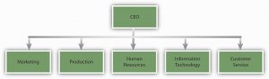 Org Chart: CEO to Marketing, Production, Human Resources, Information Technology, & Customer Service