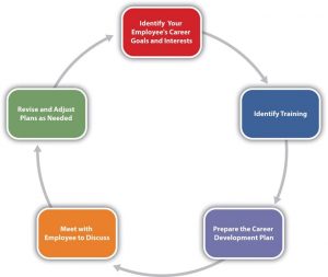Circle with boxes depicting Career Development Planning Process