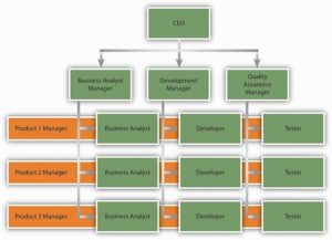 Org chart with overlapping matrix structure