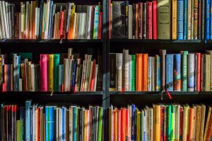 bookshelf full of colorful books