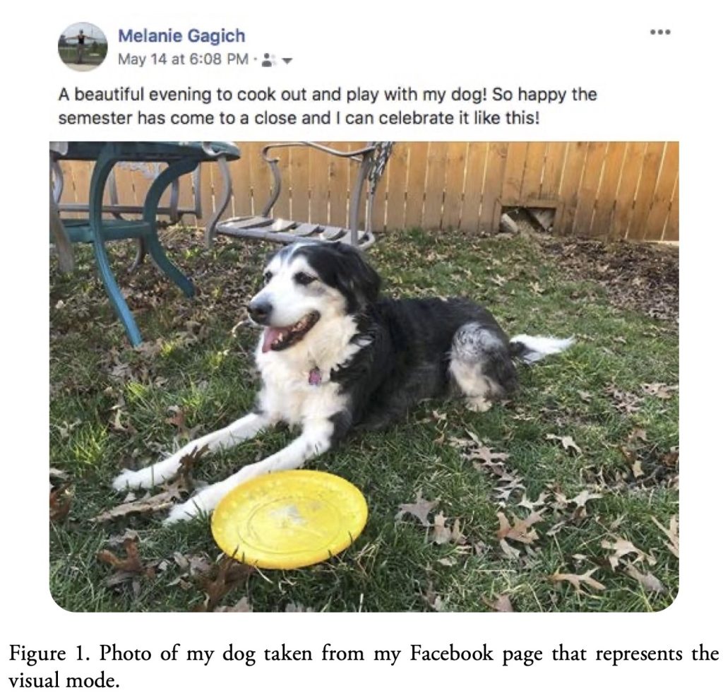 Figure 1: Photo of my dog taken from my Facebook page that represents the visual mode.